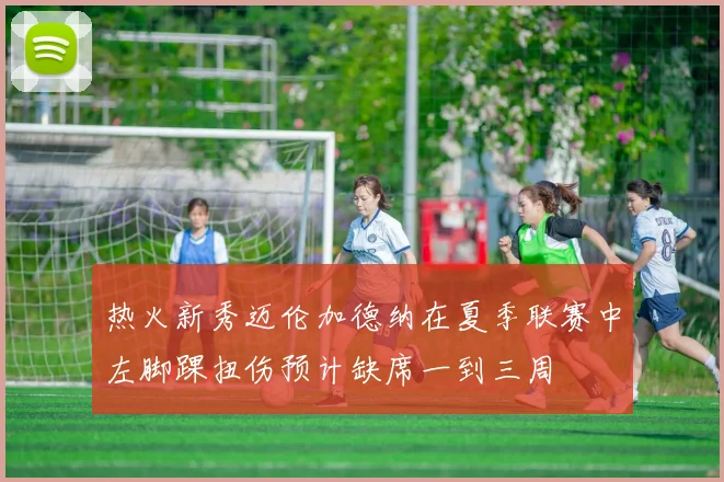 热火新秀迈伦加德纳在夏季联赛中左脚踝扭伤预计缺席一到三周